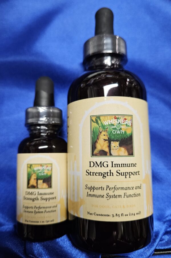 Whiskers Own DMG Immune Strength Support