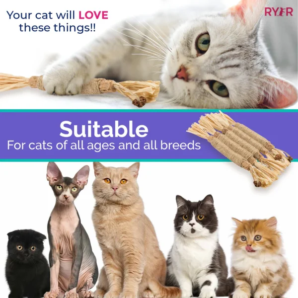 RYERCAT Silvervine Cat Dental Sticks