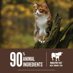 Orijen Grain Free Regional Red Dry Food for Adult Cats 4 Orijen Grain Free Regional Red Dry Food for Adult Cats - Image 4