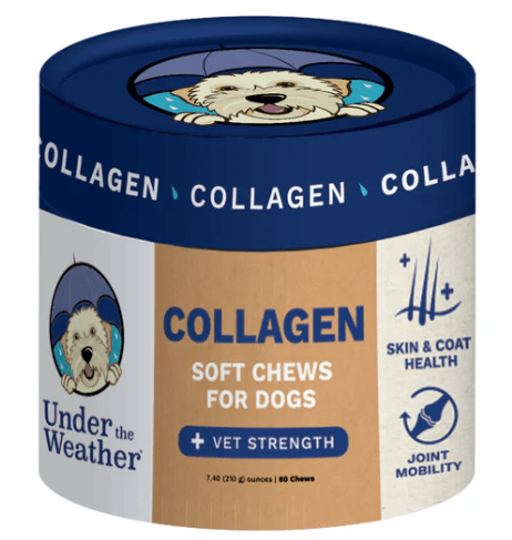 Under The Weather Collagen Soft Chews for Dogs - 60ct 1 Under The Weather Collagen Soft Chews for Dogs - 60ct
